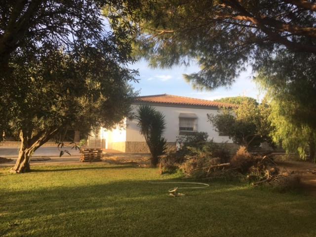 Torrealta, 4000 M2 Villa Cádiz